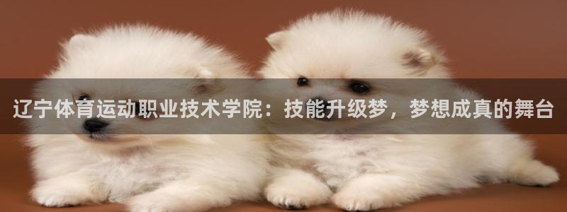 oety欧亿体育官网下载招商电话是多少：辽宁体育运动