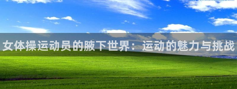 oety欧亿体育官网下载平台