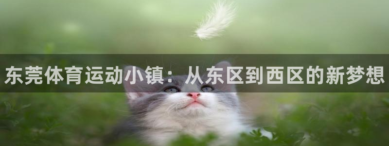 欧亿体育官方正版app集团简介：东莞体育运动小镇：从