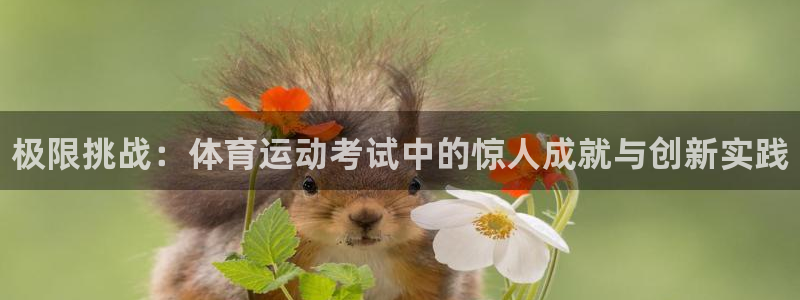 欧亿体育官方正版app娱乐首页官网下载：极限挑战：体育运动考