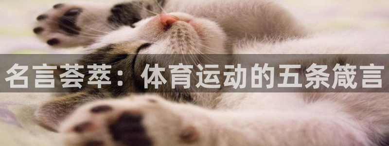 欧亿体育官方正版app娱乐是那个系列的台子：名言荟萃：体育运