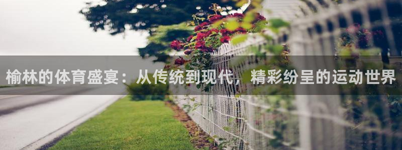 欧亿体育官方正版app五金厂：榆林的体育盛宴：从传统