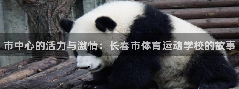 oety欧亿体育官网下载平台假的吗是真的吗：市中心的活力与激