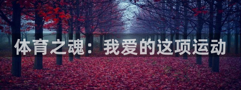 oety欧亿体育官网下载联系电话：体育之魂：我爱的这
