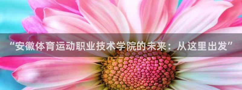 oety欧亿体育官网下载招商电话号码是多少啊：“安徽