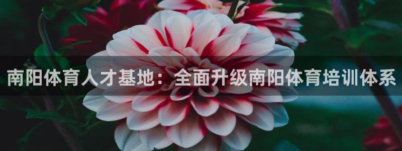 欧亿体育官方正版app娱乐网站：南阳体育人才基地：全