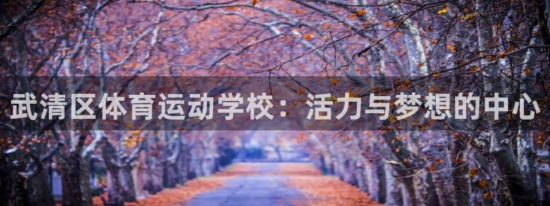 oety欧亿体育官网下载平台注册要钱吗：武清区体育运