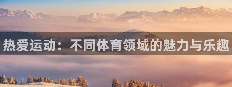 欧亿体育官方正版app五金厂：热爱运动：不同体育领域