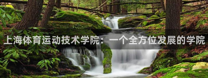 海南oety欧亿体育官网下载发展怎么样：上海体育运动