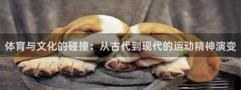 oety欧亿体育官网下载是干嘛的公司：体育与文化的碰