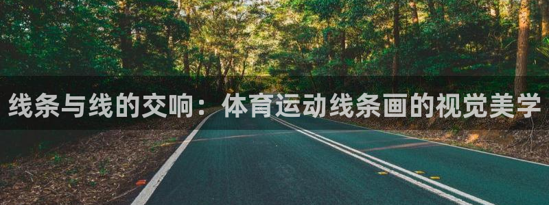 欧亿体育官方正版app娱乐40996：线条与线的交响