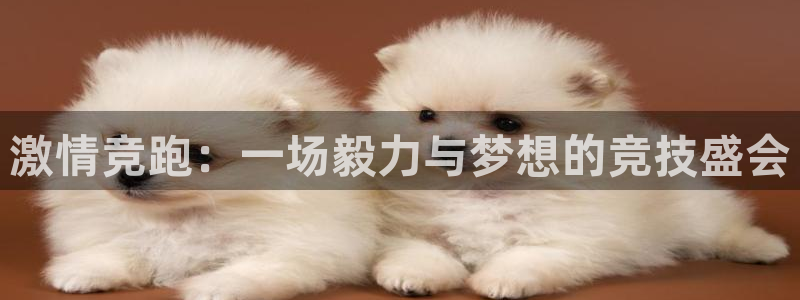 欧亿体育官方平台体育：激情竞跑：一场毅力与梦想的竞技盛会