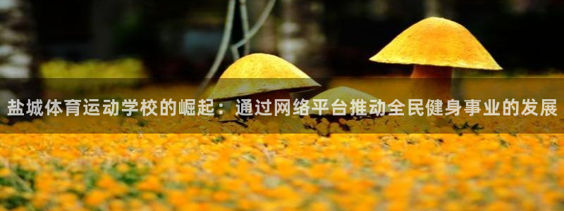 oety欧亿体育官网下载招商电话地址是多少：盐城体育运动学校