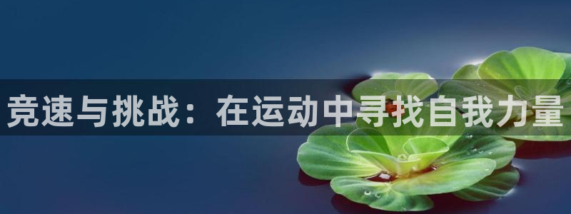 oety欧亿体育官网下载招商电话号码是多少号：竞速与挑战：在