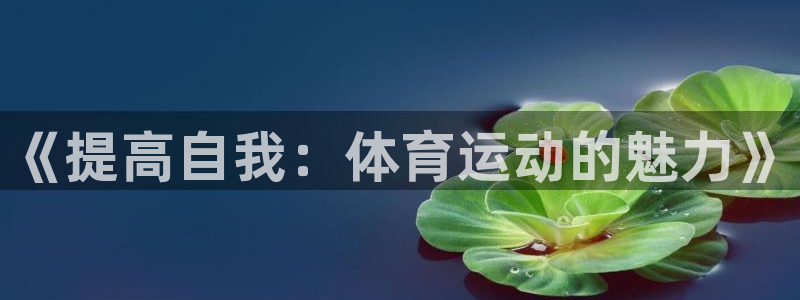 oety欧亿体育官网下载招商电话号码查询是多少：《提高自我：